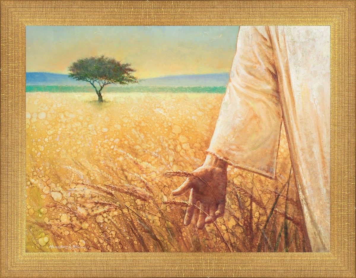 Wheat and Tares