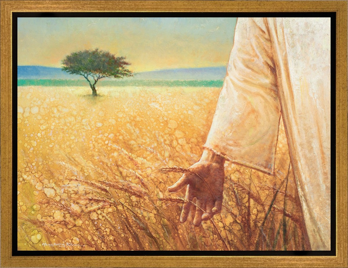 Wheat and Tares