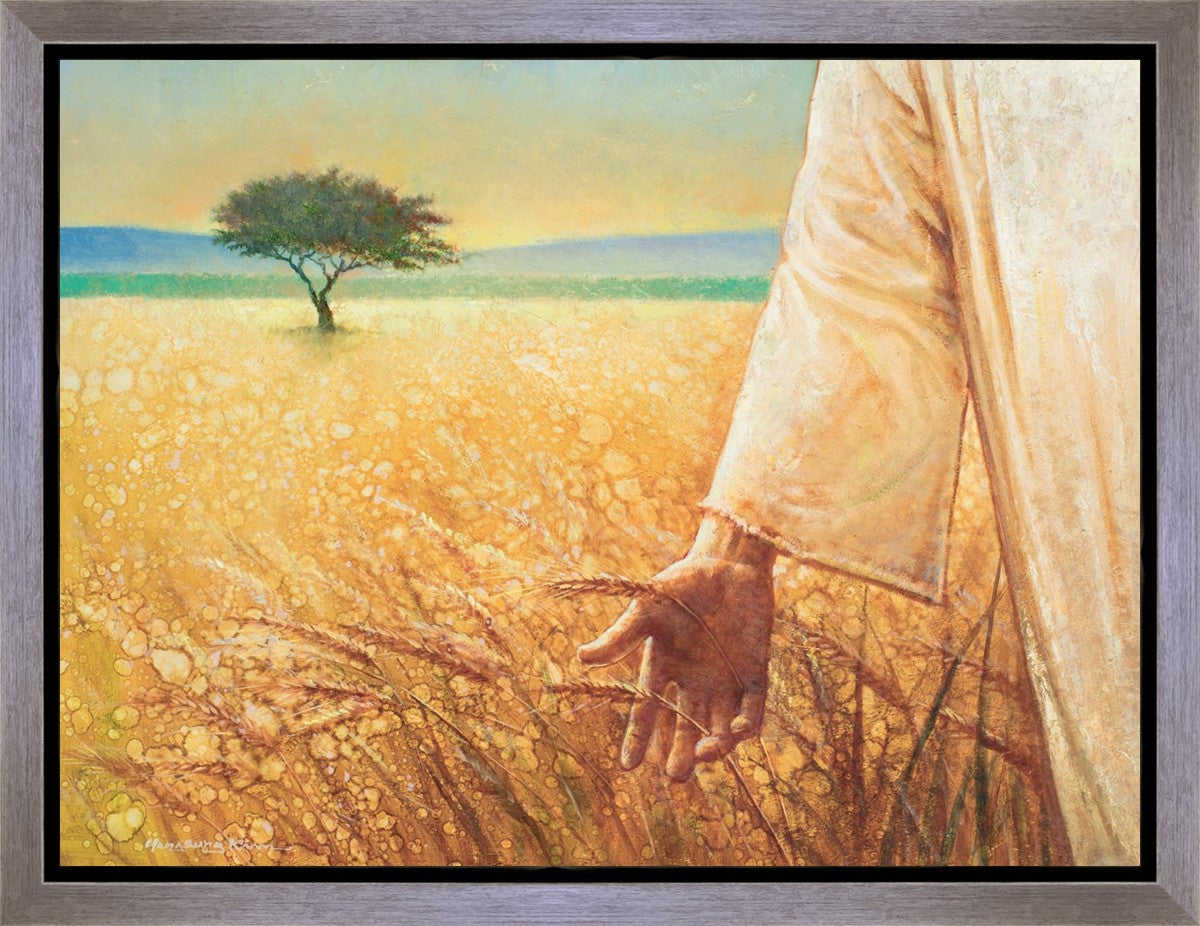 Wheat and Tares