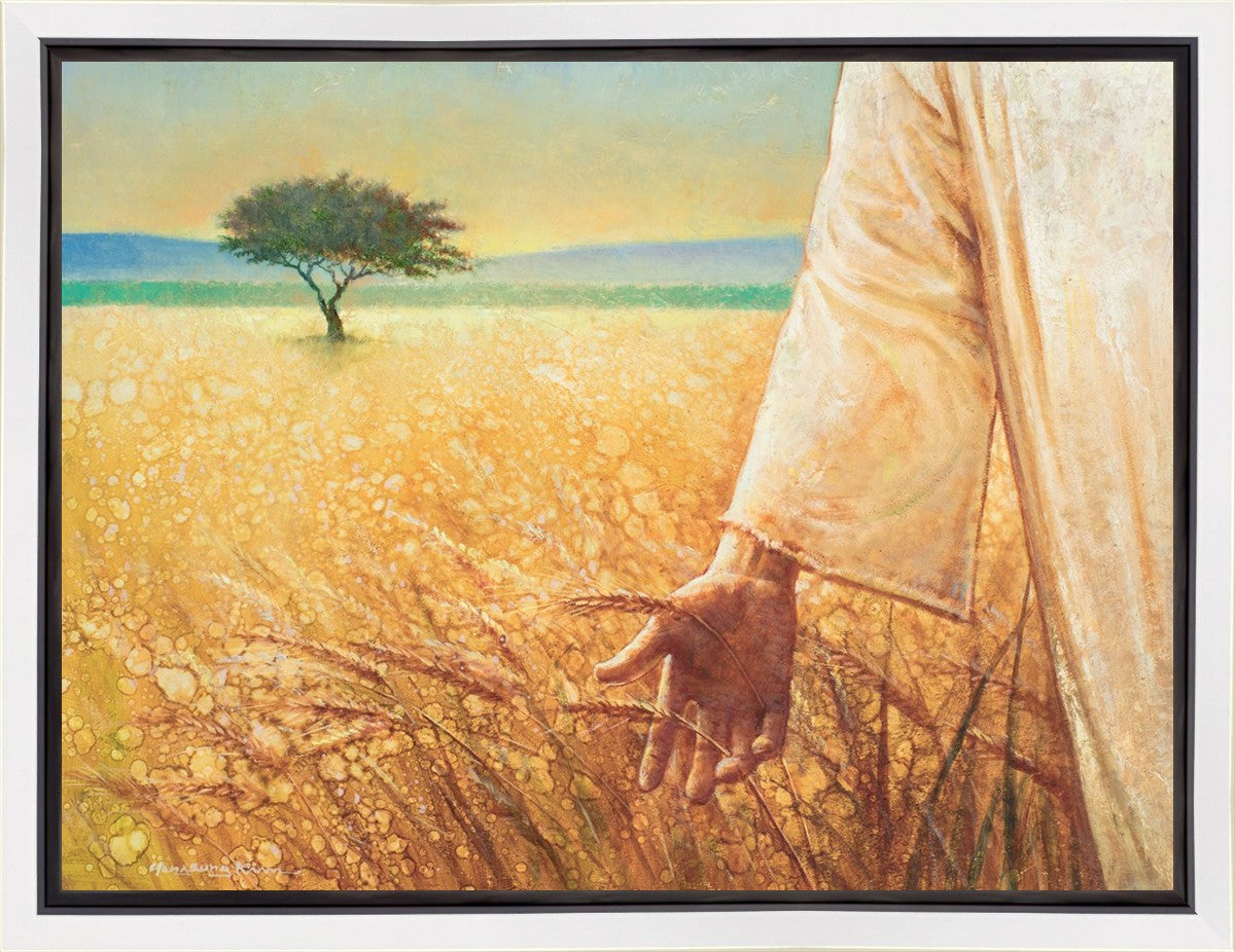 Wheat and Tares