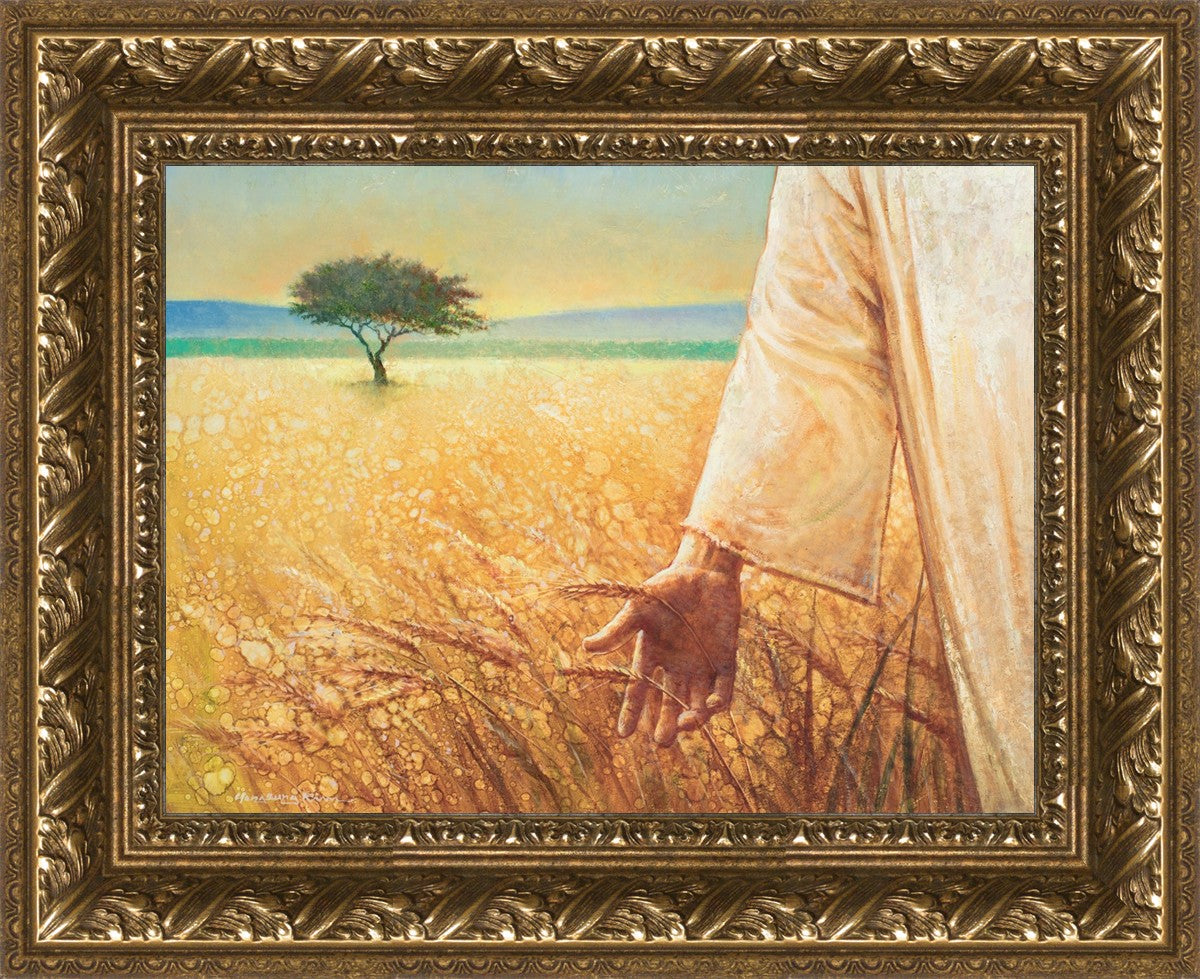 Wheat and Tares