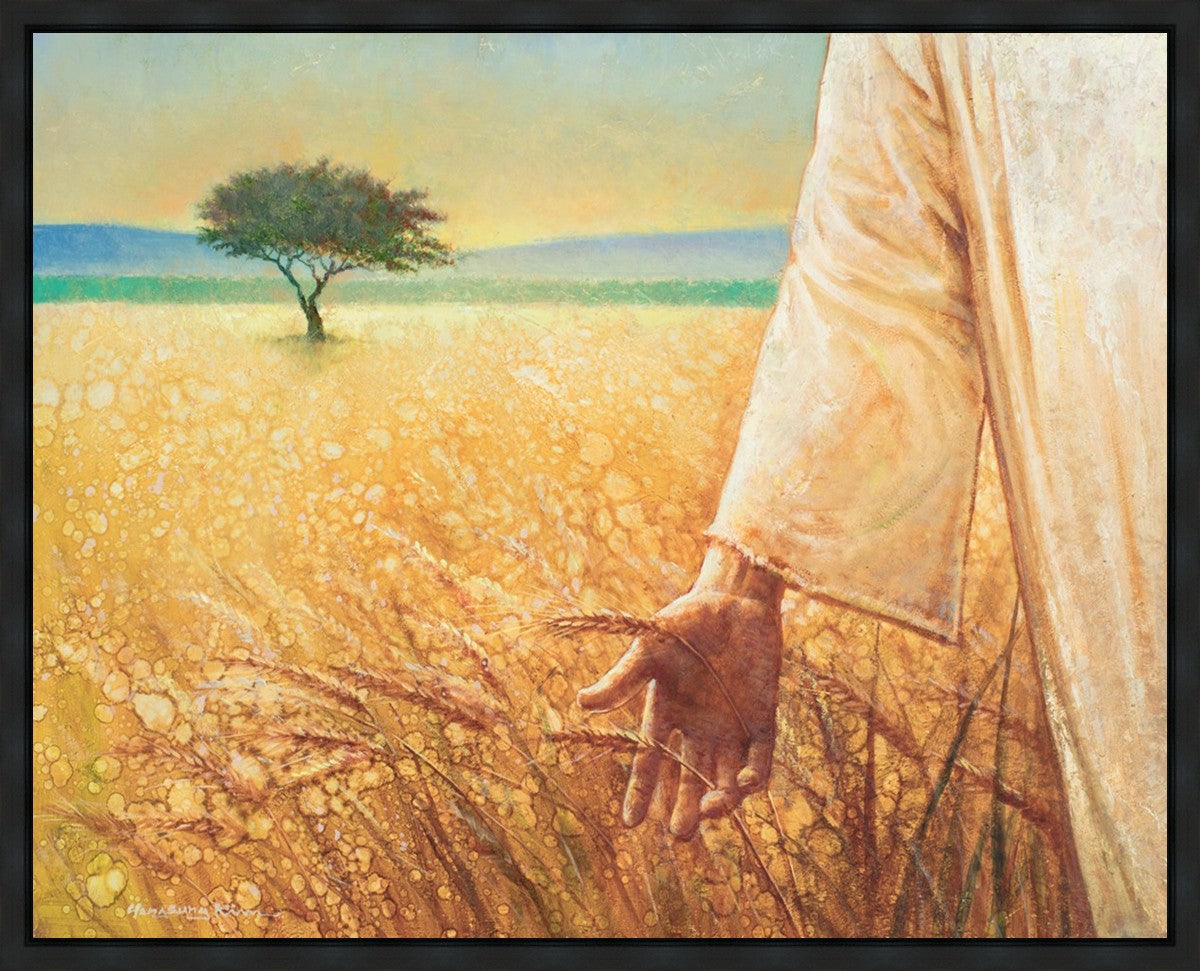 Wheat and Tares