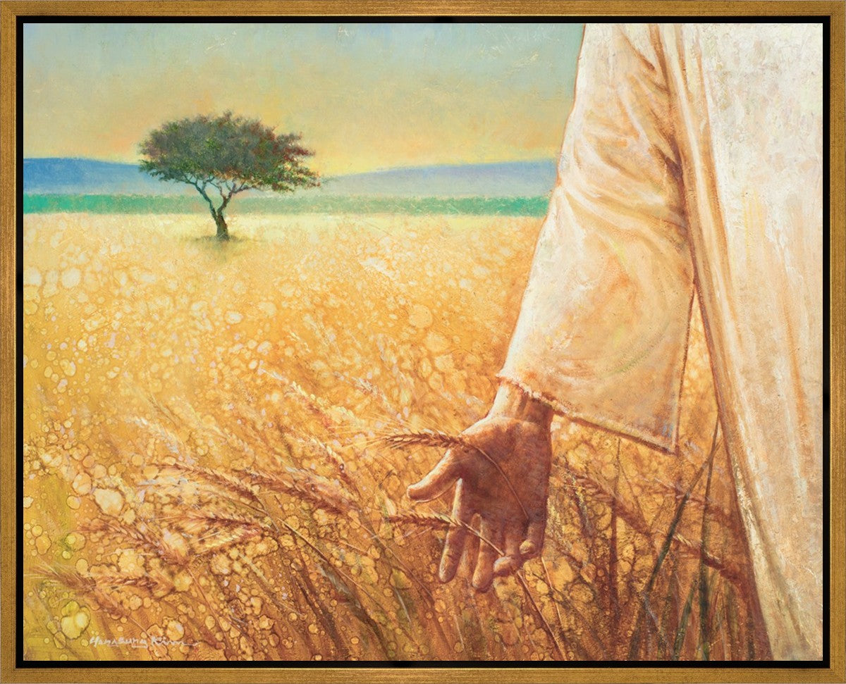 Wheat and Tares