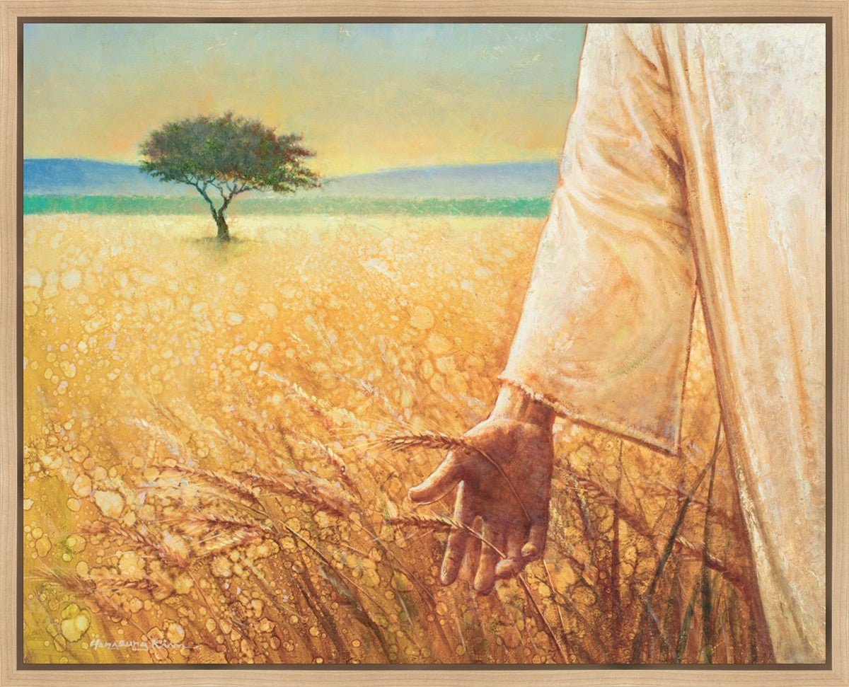 Wheat and Tares