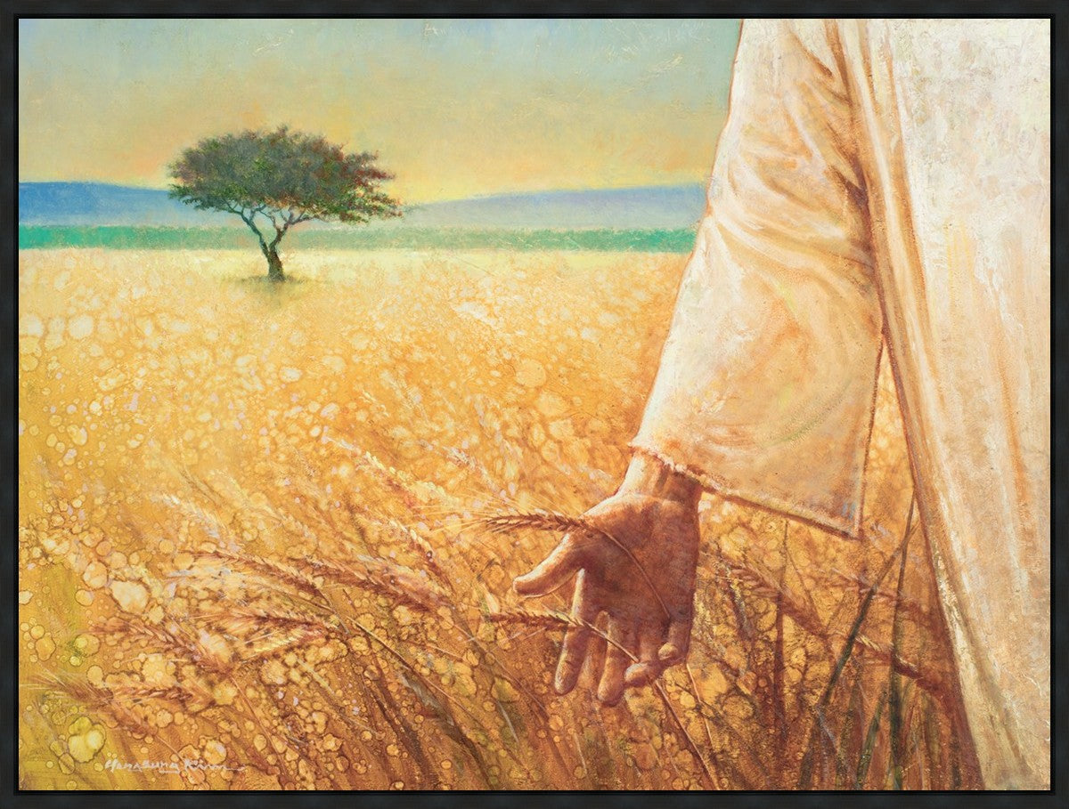 Wheat and Tares