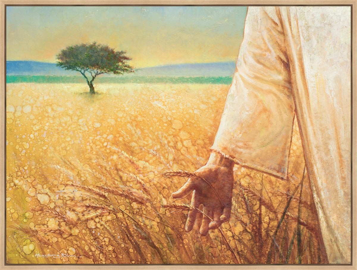 Wheat and Tares