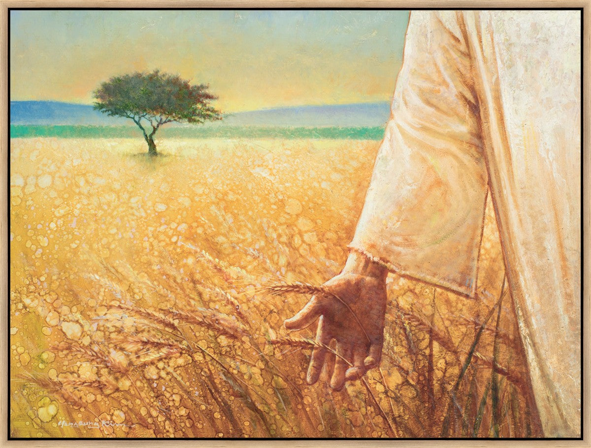 Wheat and Tares