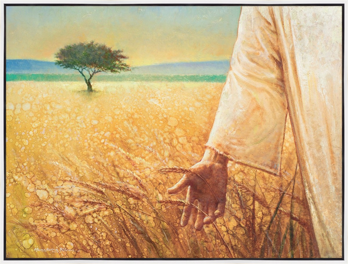 Wheat and Tares