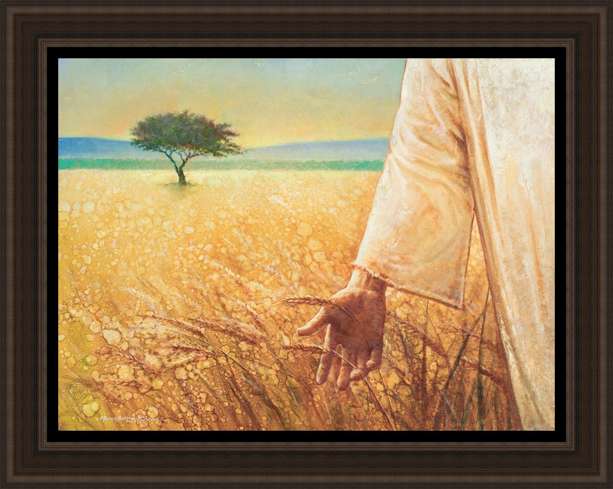 Wheat and Tares
