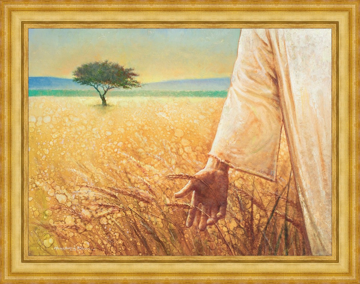 Wheat and Tares