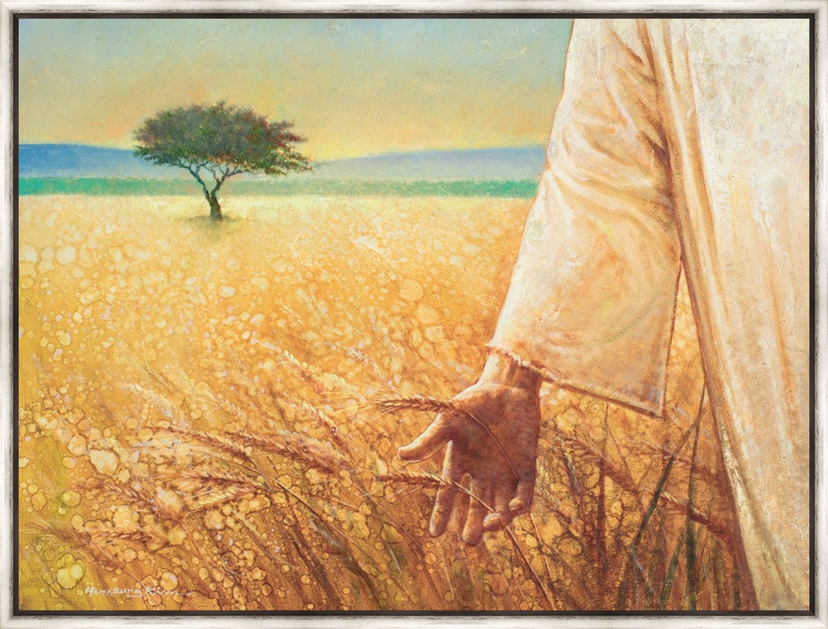 Wheat and Tares