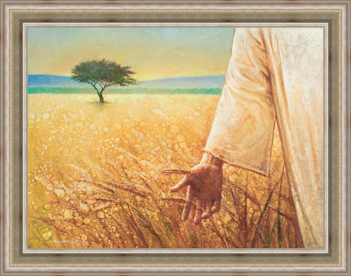 Wheat and Tares