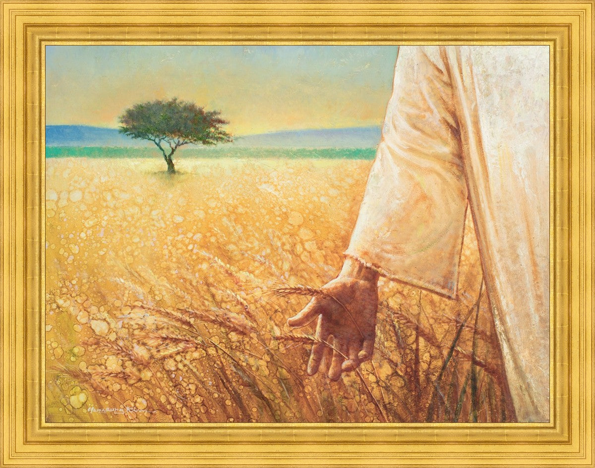 Wheat and Tares