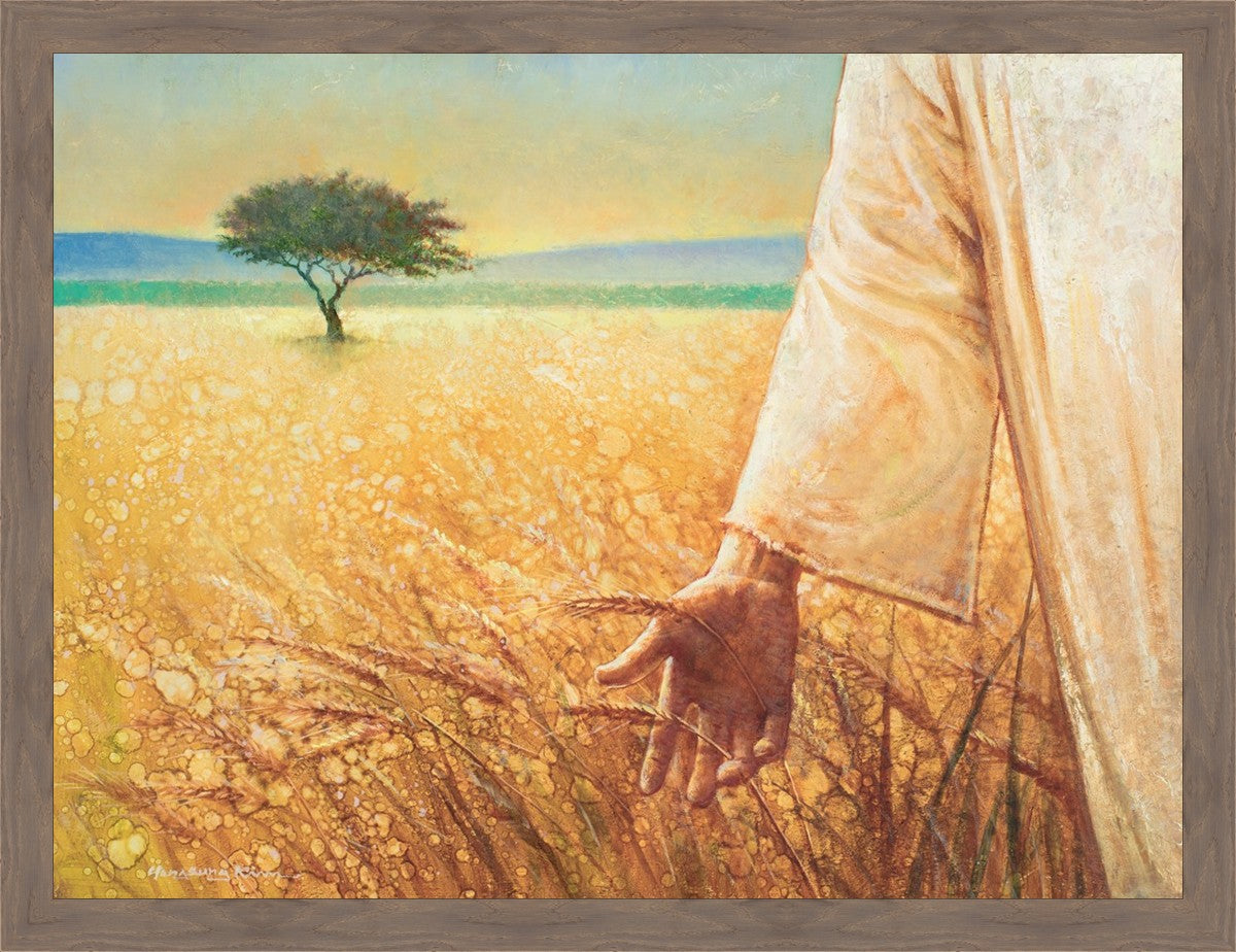 Wheat and Tares