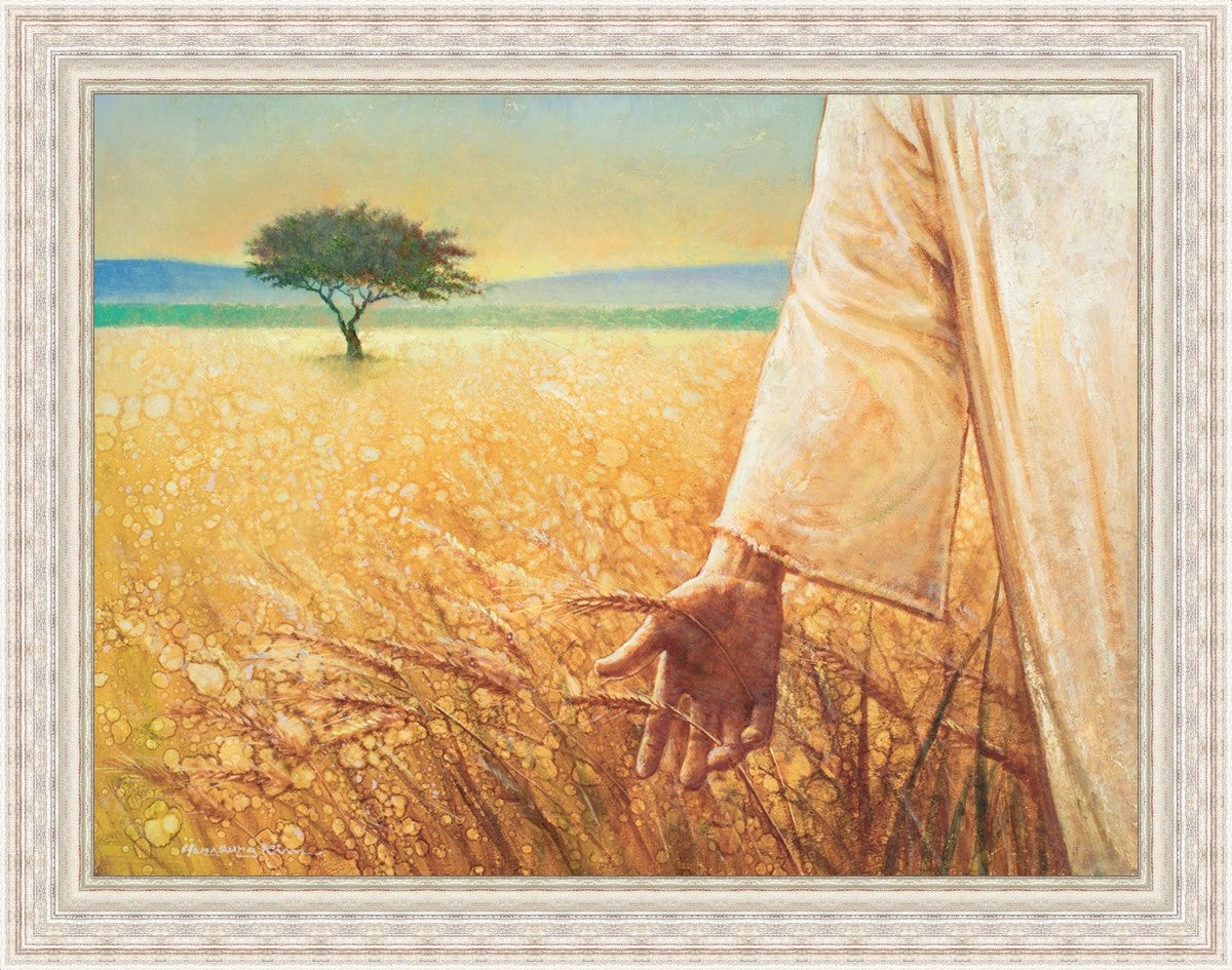 Wheat and Tares