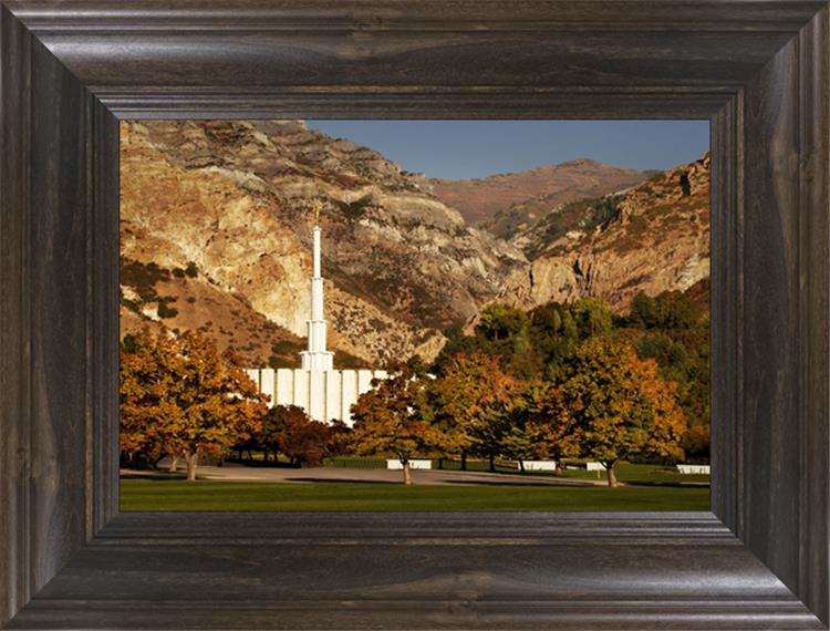 Provo Fall Rock Canyon