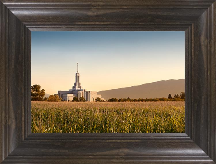 Mount Timpanogos Harvest