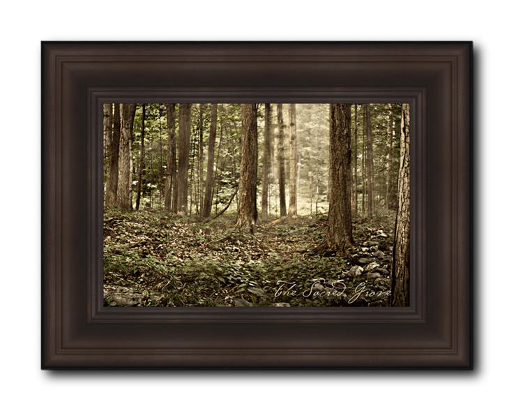 Sacred Grove