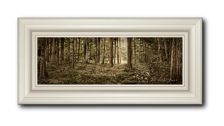 Sacred Grove
