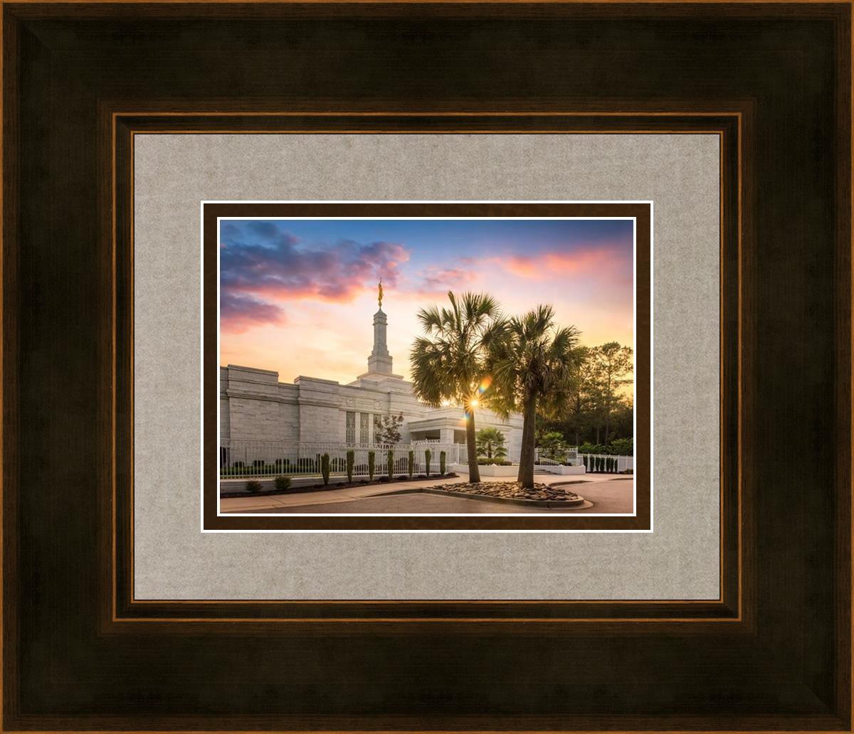 Columbia Palmetto Sunset
