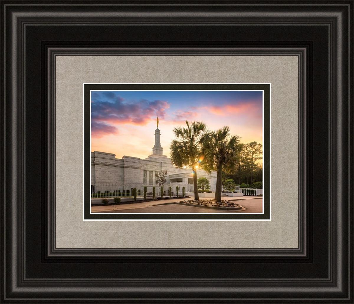 Columbia Palmetto Sunset