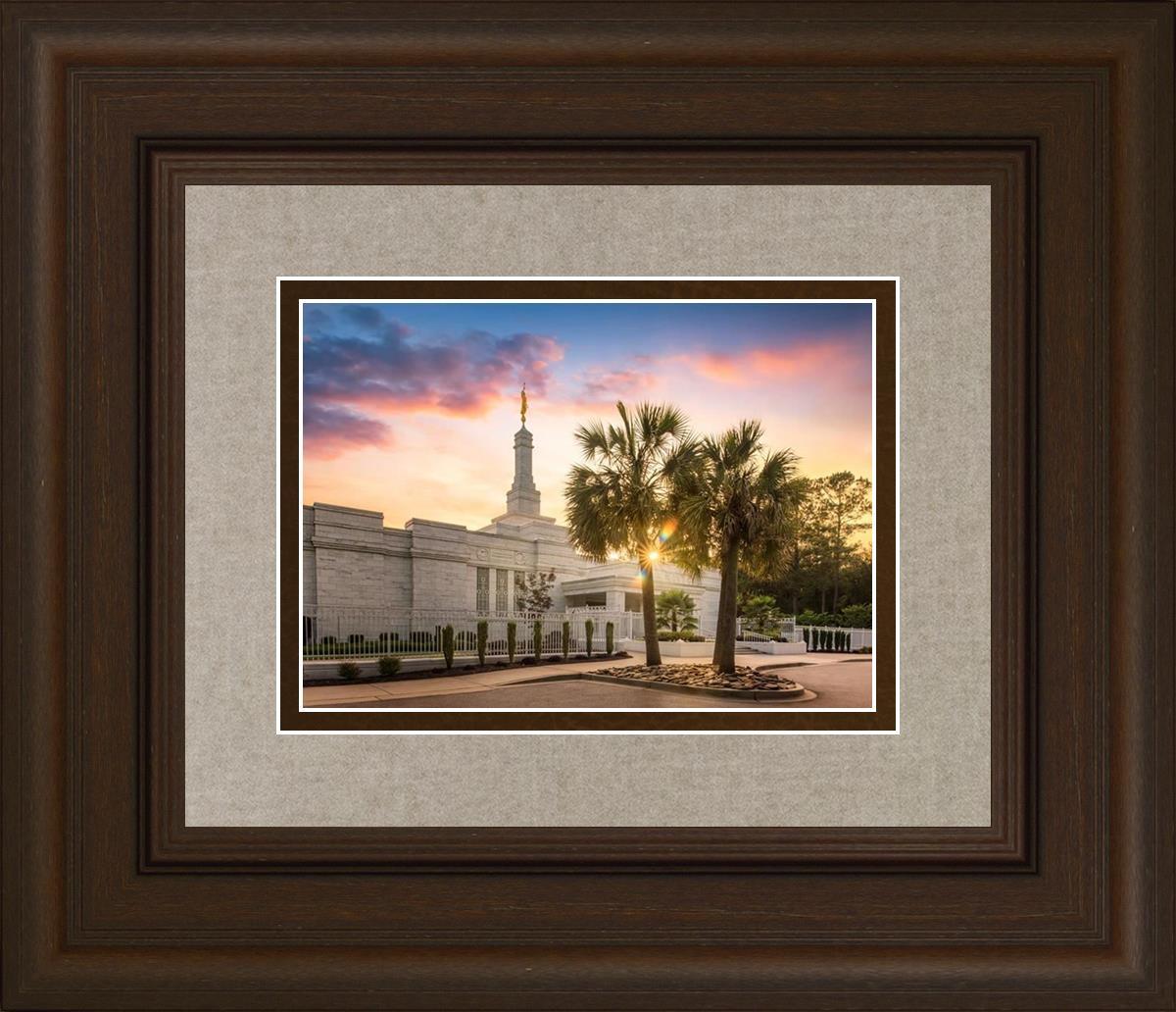 Columbia Palmetto Sunset