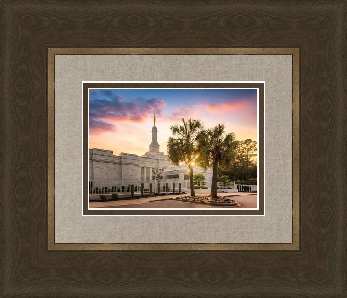 Columbia Palmetto Sunset