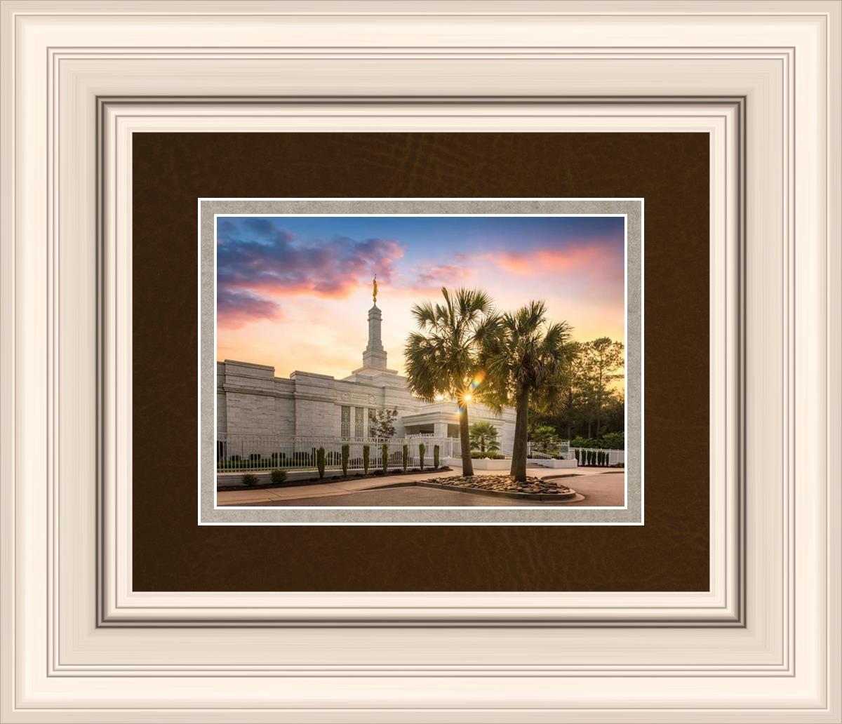 Columbia Palmetto Sunset
