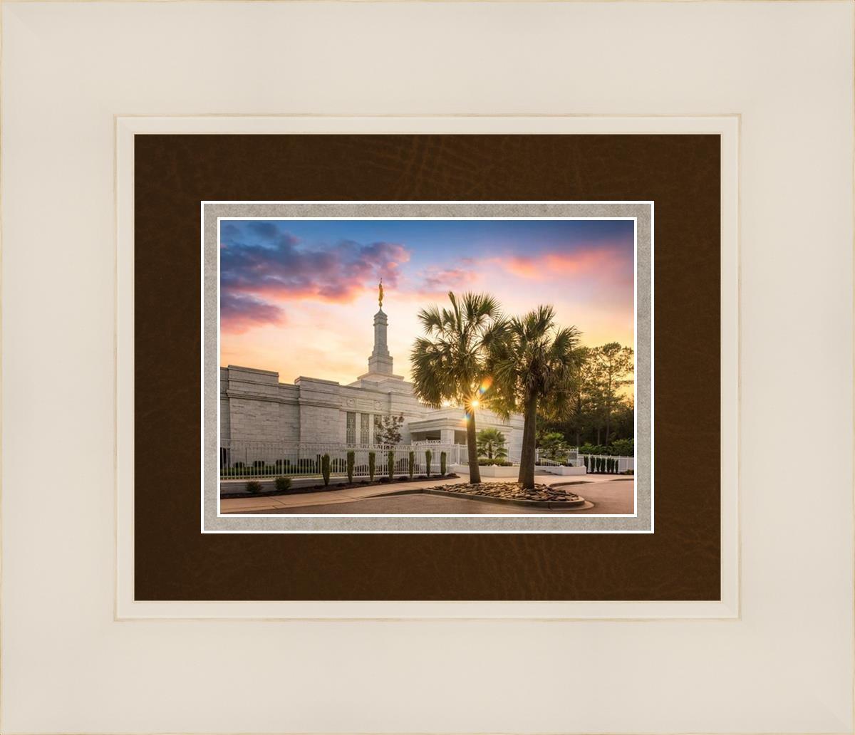 Columbia Palmetto Sunset
