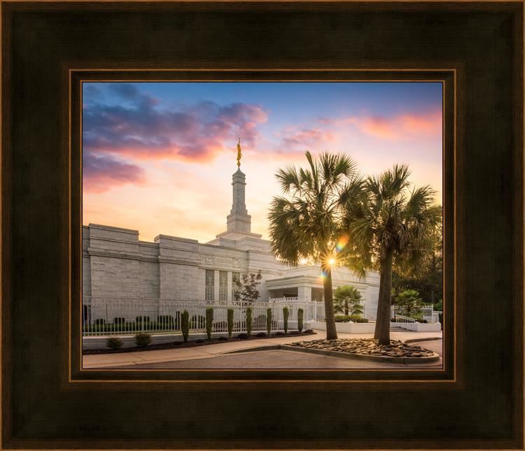 Columbia Palmetto Sunset