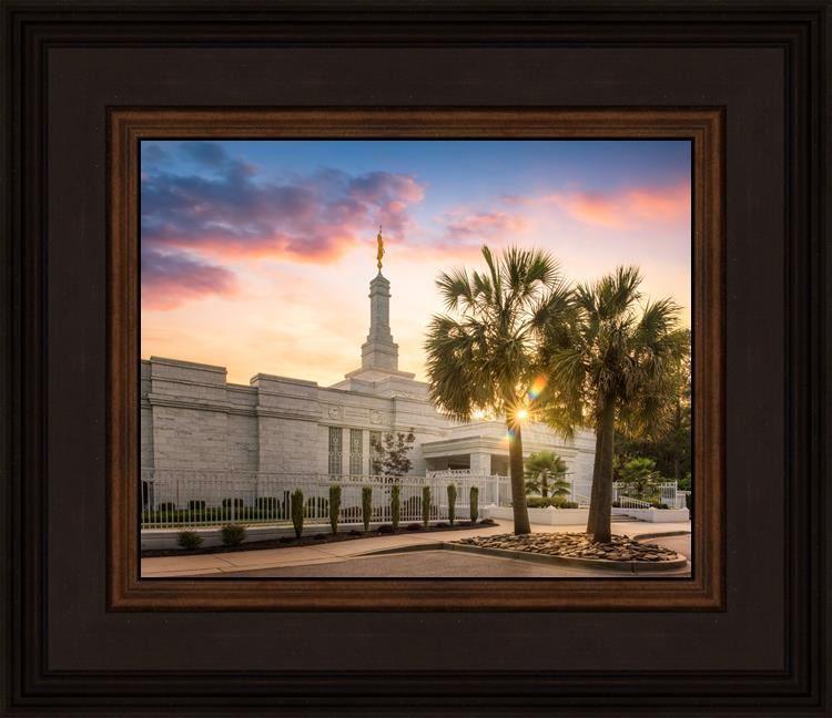 Columbia Palmetto Sunset
