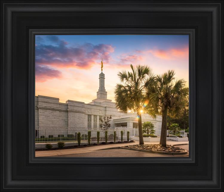 Columbia Palmetto Sunset