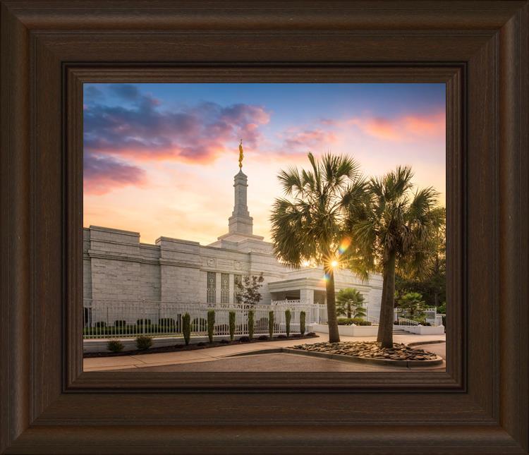 Columbia Palmetto Sunset