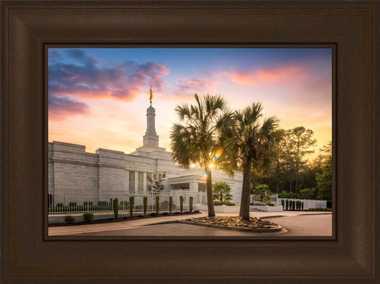 Columbia Palmetto Sunset