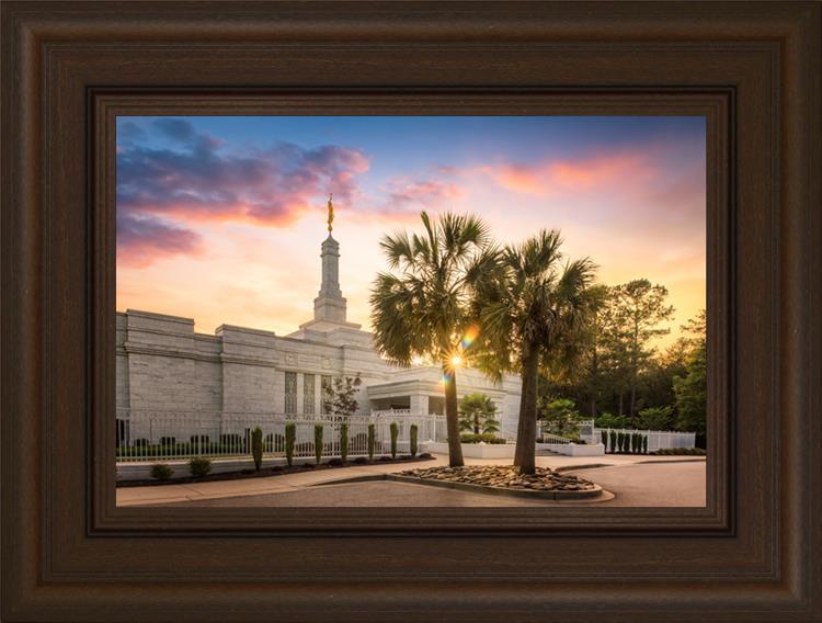 Columbia Palmetto Sunset