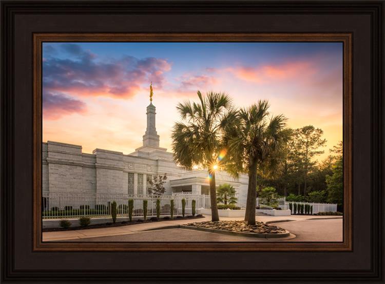 Columbia Palmetto Sunset
