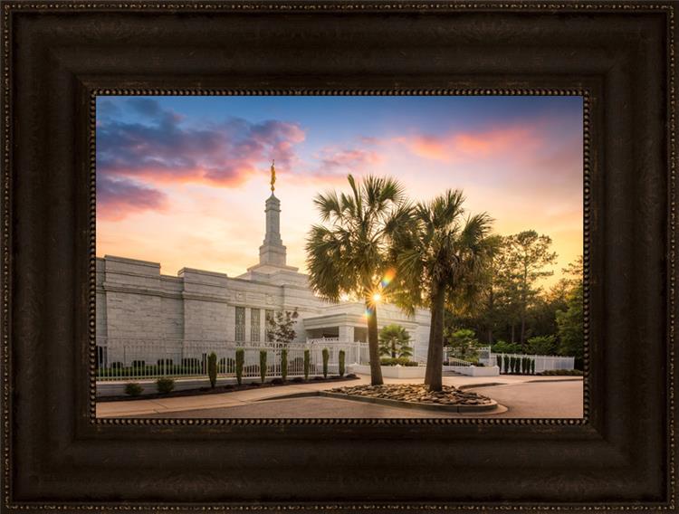Columbia Palmetto Sunset