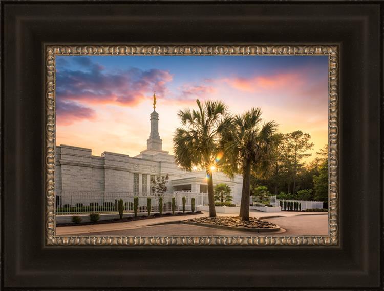 Columbia Palmetto Sunset