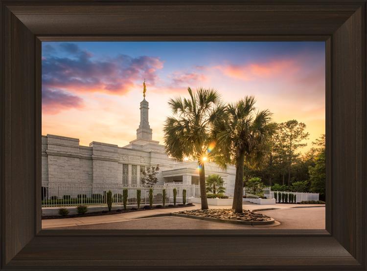Columbia Palmetto Sunset