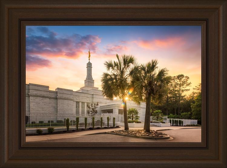 Columbia Palmetto Sunset