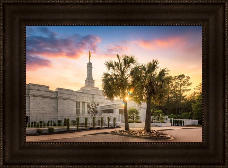 Columbia Palmetto Sunset