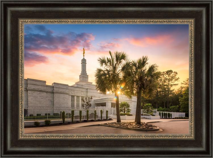 Columbia Palmetto Sunset
