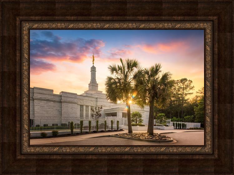Columbia Palmetto Sunset