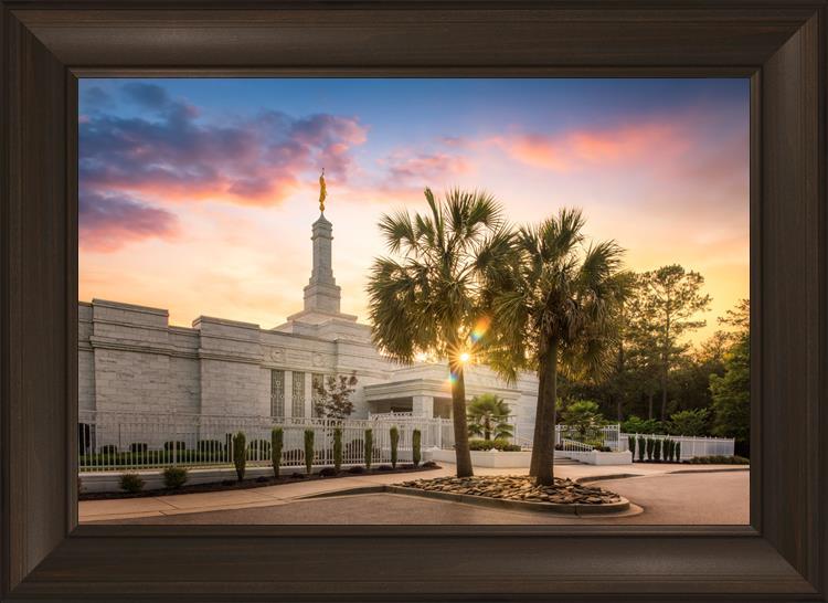 Columbia Palmetto Sunset