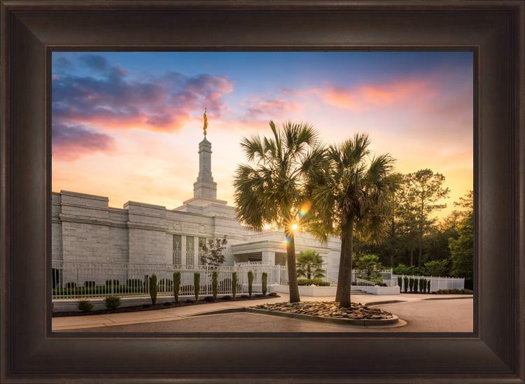 Columbia Palmetto Sunset