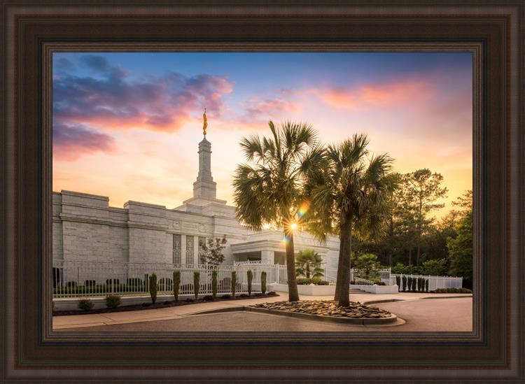 Columbia Palmetto Sunset