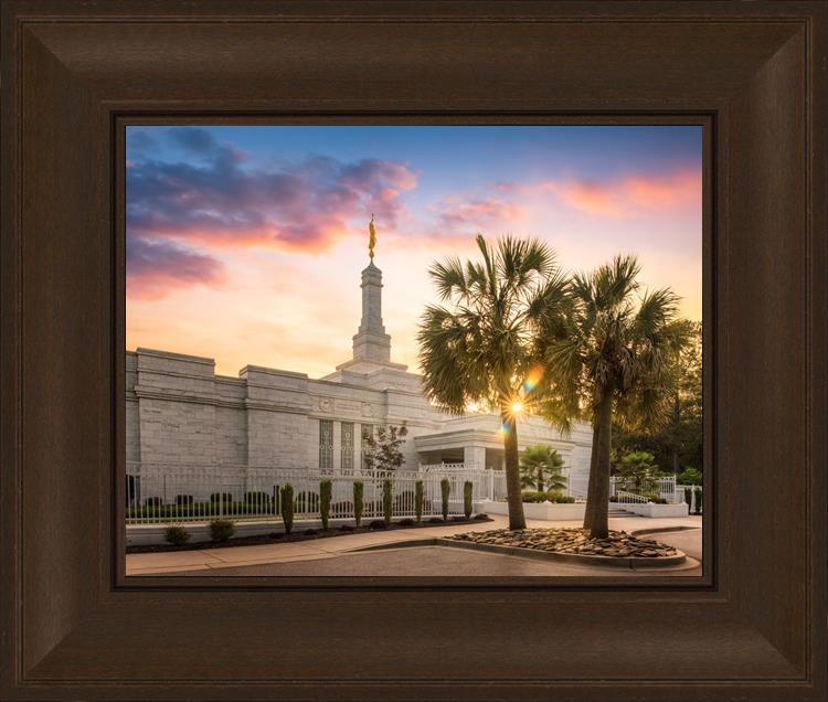 Columbia Palmetto Sunset