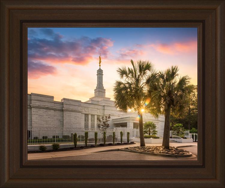 Columbia Palmetto Sunset