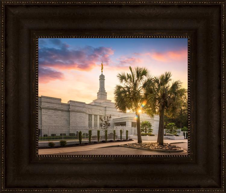 Columbia Palmetto Sunset