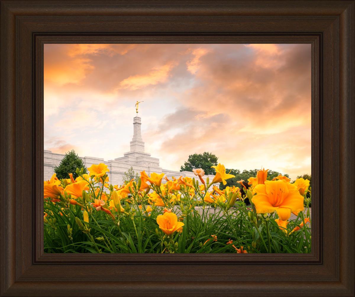 Detroit Flowers